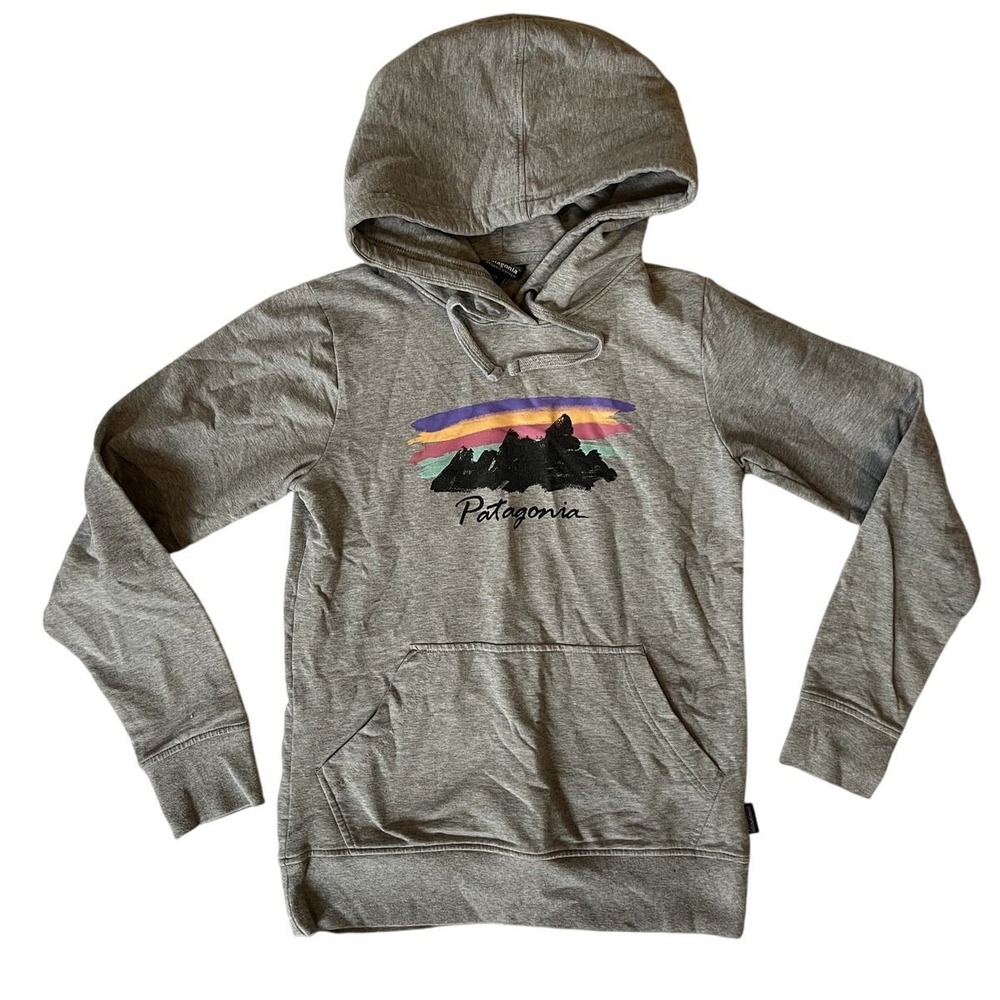 Patagonia Womens Free Hand Fitz Roy Ahnya Hoody Gray XS 39589